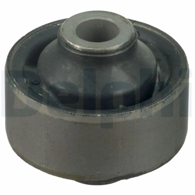 TD1621W Delphi