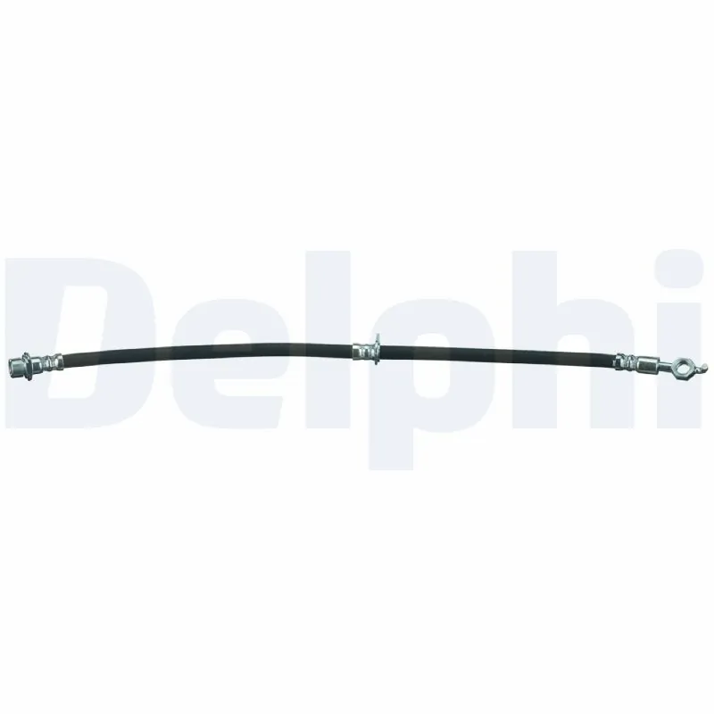 LH7308 Delphi