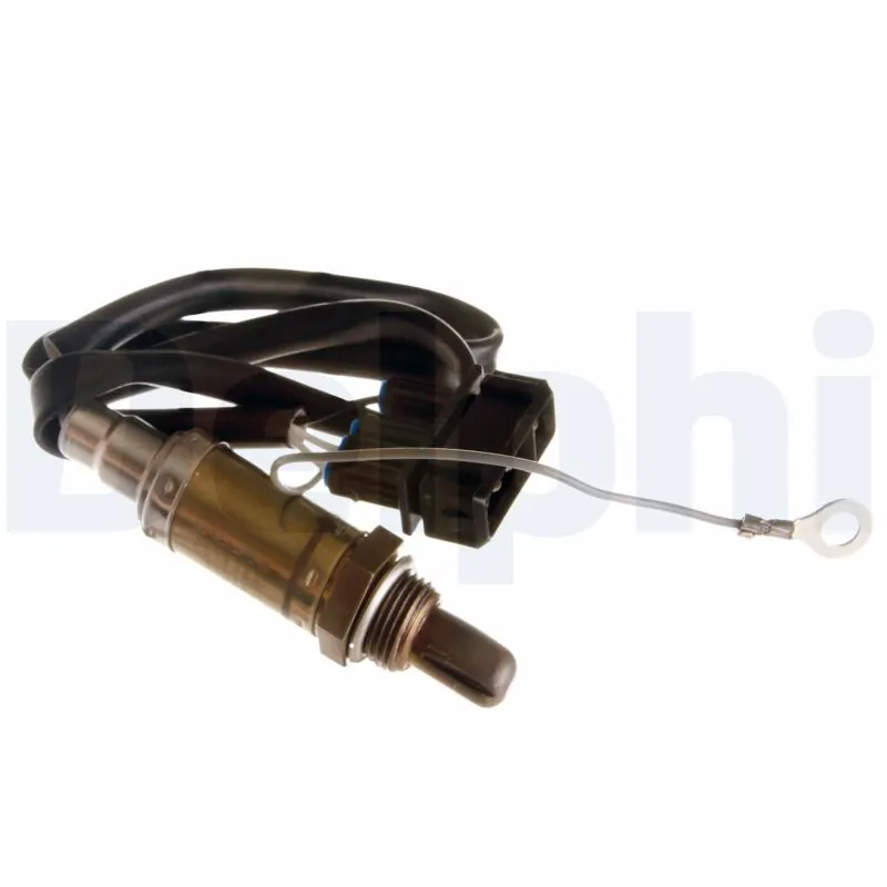 ES1026412B1 Delphi