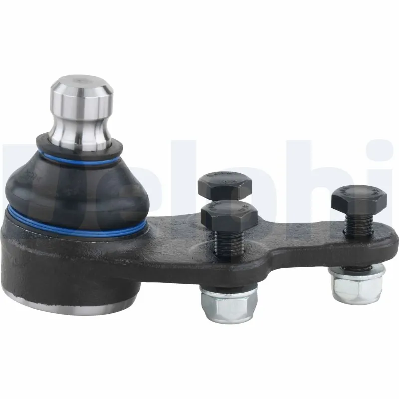TC1016 Delphi
