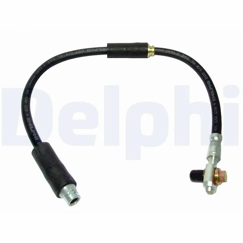 LH6010 Delphi