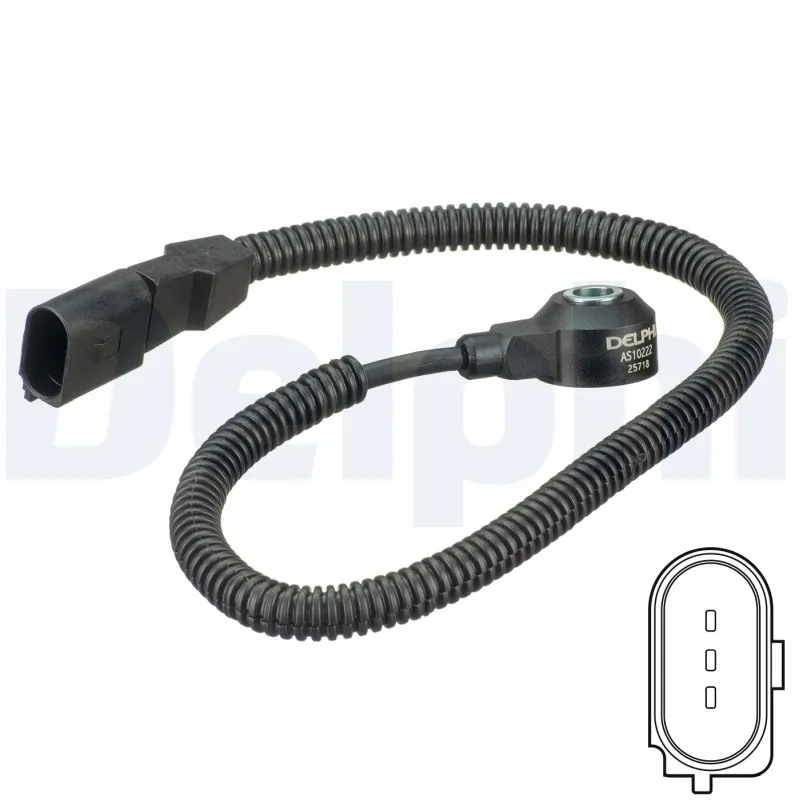 AS10222 Delphi