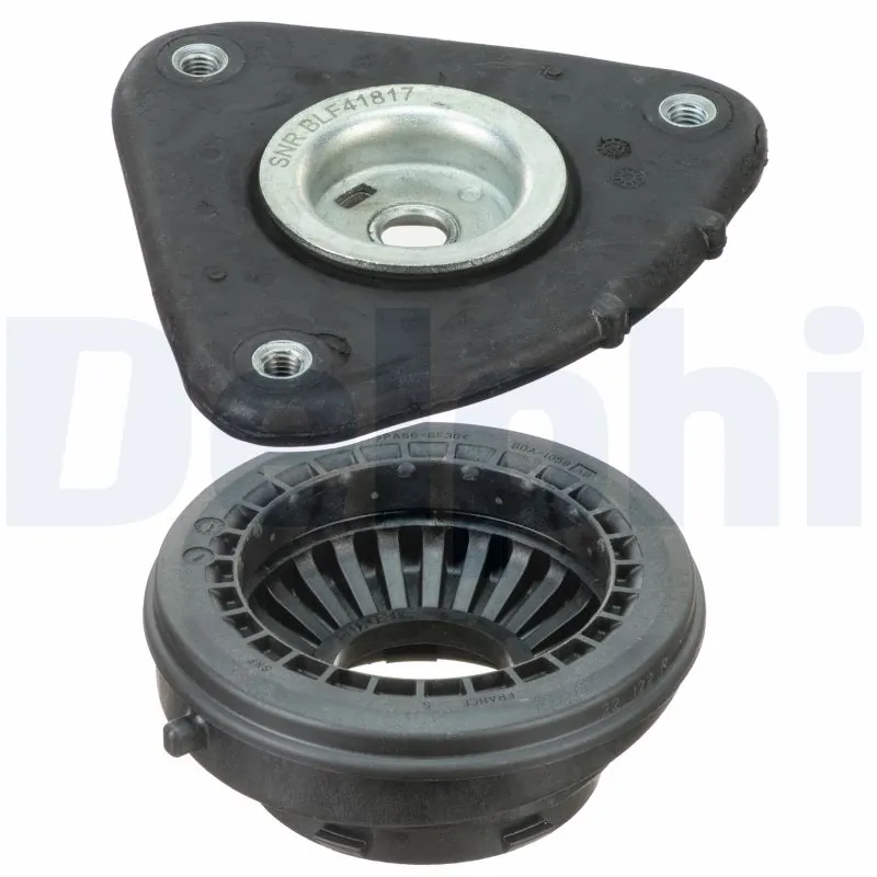 BSJ10106 Delphi