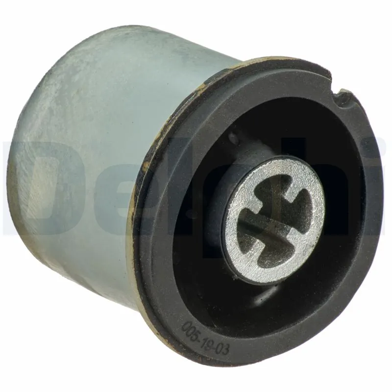 TD1307W Delphi