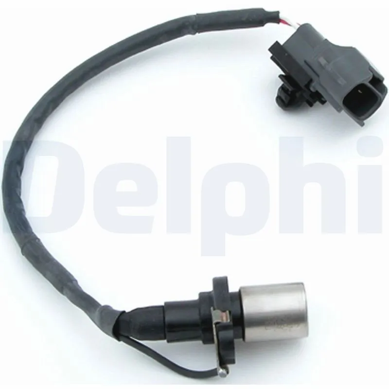 SS1019611B1 Delphi