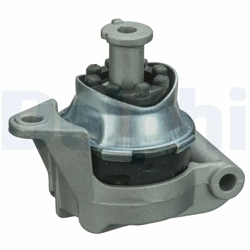 TEM090 Delphi