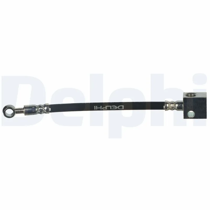LH7065 Delphi