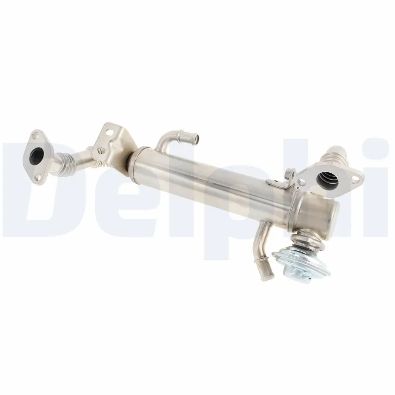 EG1058212B1 Delphi