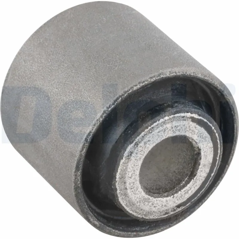 TD451W Delphi