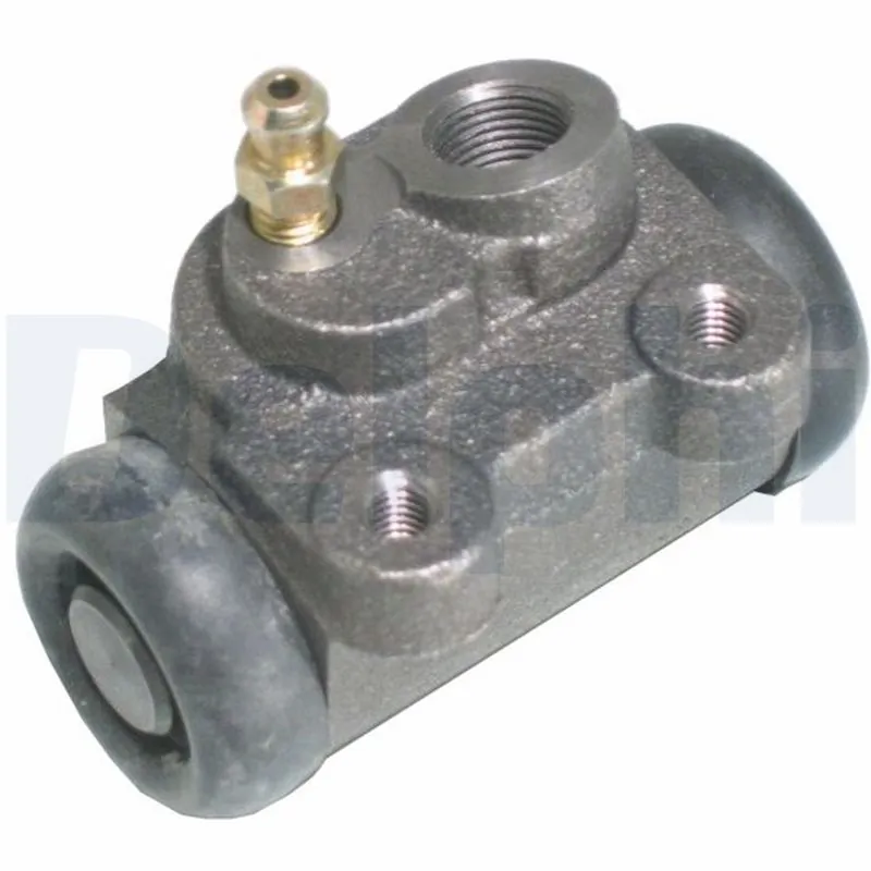 LW31289 Delphi