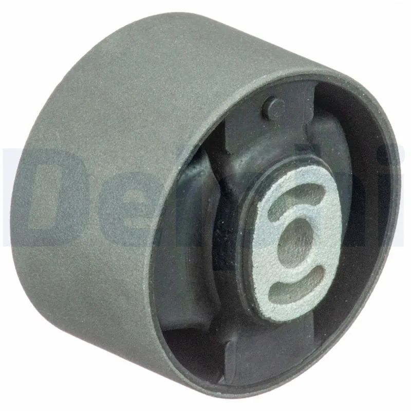 TEM064 Delphi