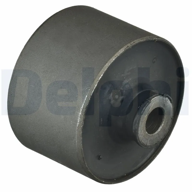 TD1101W Delphi