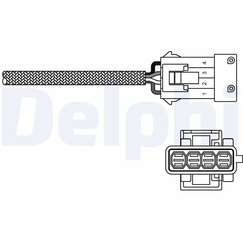 ES1079712B1 Delphi