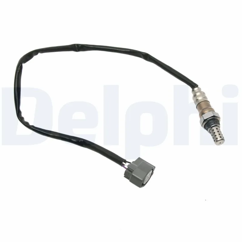ES2035912B1 Delphi