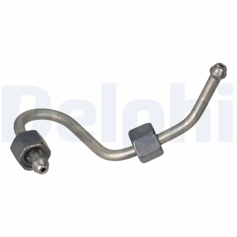 HPP110 Delphi