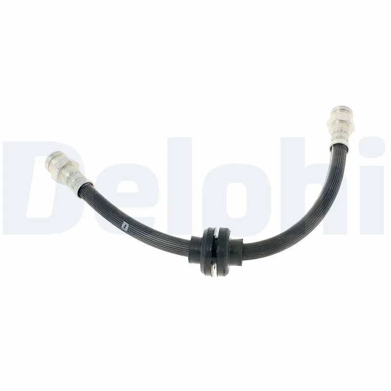 LH7719 Delphi