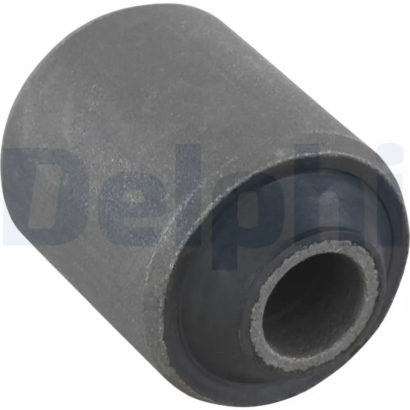 TD401W Delphi