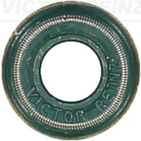 704247600 Victor Reinz