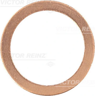 417020400 Victor Reinz