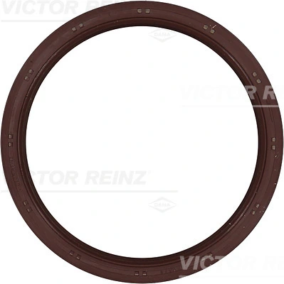 811047400 Victor Reinz