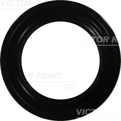 812100110 Victor Reinz