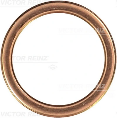 417206630 Victor Reinz