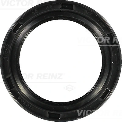 811753910 Victor Reinz