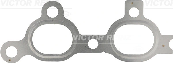 713630300 Victor Reinz