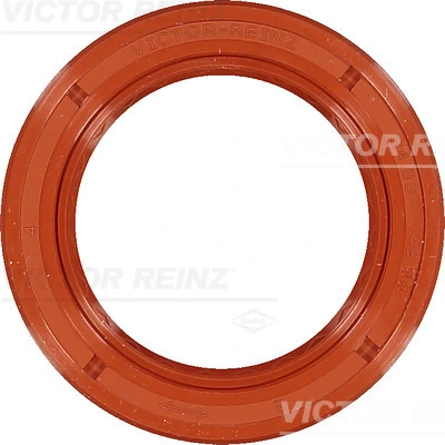 812270010 Victor Reinz