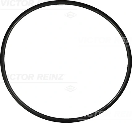 407660200 Victor Reinz