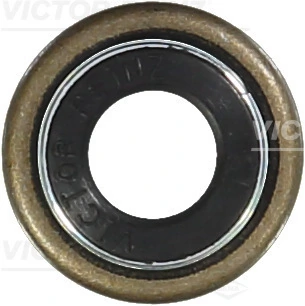 703780100 Victor Reinz