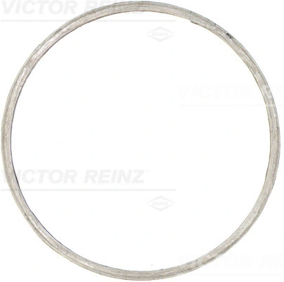 712061100 Victor Reinz