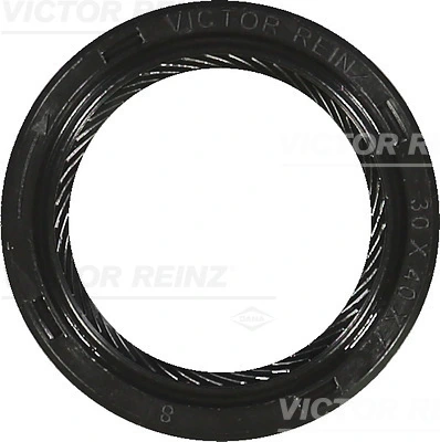 811551250 Victor Reinz