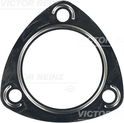 713829100 Victor Reinz