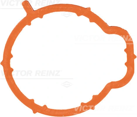 713537700 Victor Reinz