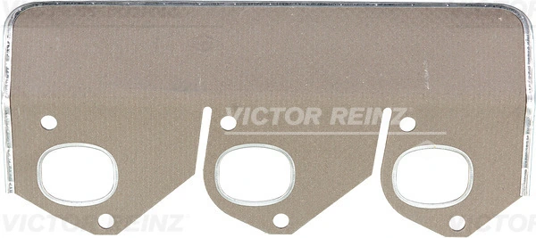 712712110 Victor Reinz