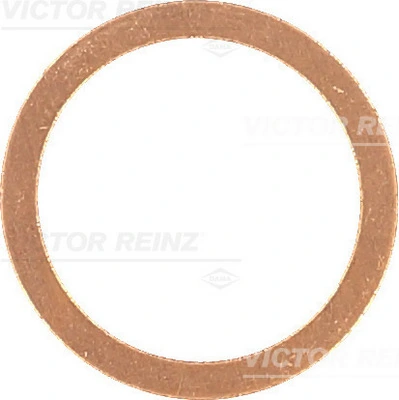 407020200 Victor Reinz