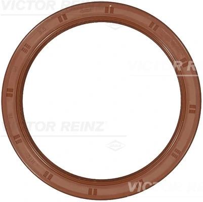 815331800 Victor Reinz
