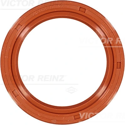 815110920 Victor Reinz