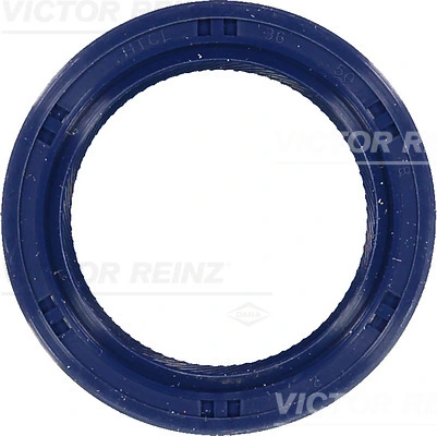 815325100 Victor Reinz