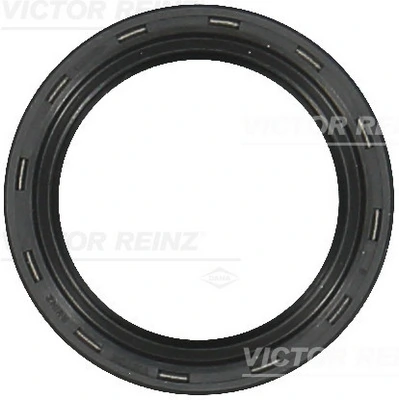 811049600 Victor Reinz