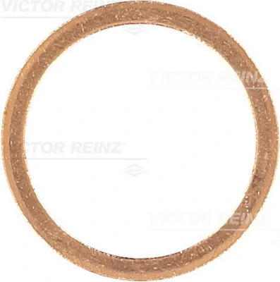 417023300 Victor Reinz