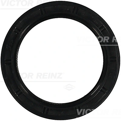 815375800 Victor Reinz