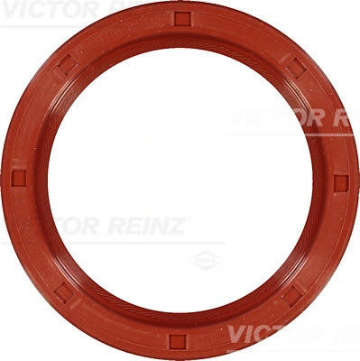 811533220 Victor Reinz