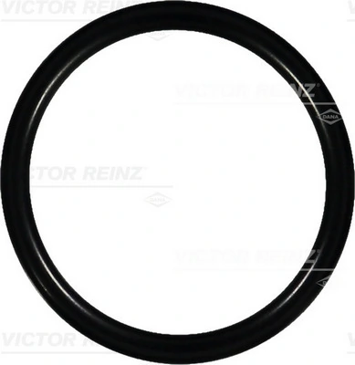 407608800 Victor Reinz