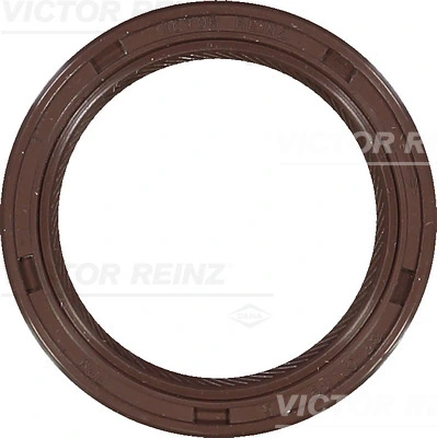 815397900 Victor Reinz