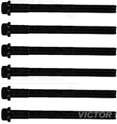 143228501 Victor Reinz