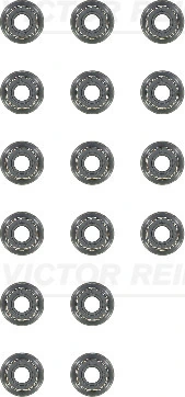 124061601 Victor Reinz
