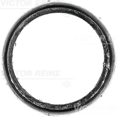 711061700 Victor Reinz