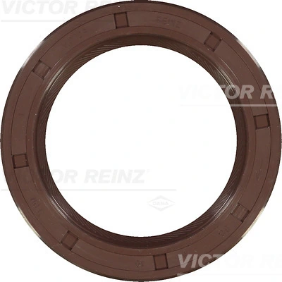 812110820 Victor Reinz